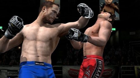 Image in-game