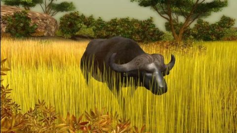 Image in-game