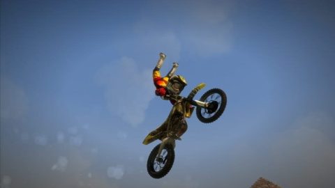 Image in-game