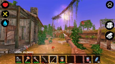 Image in-game