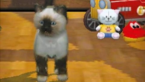 Image in-game