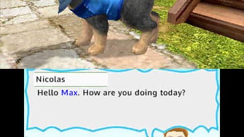 Image in-game