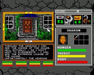 Image in-game