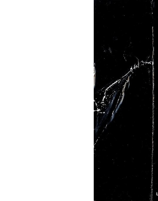 The Return Of The Warrior - Dos