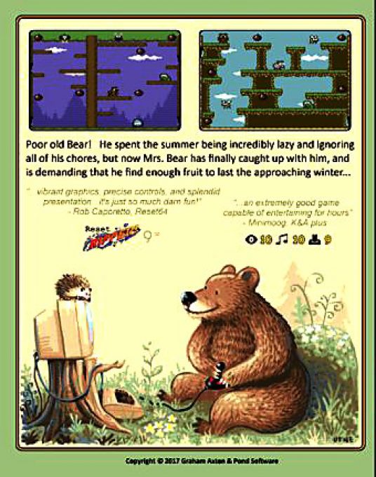 The Bear Essentials dos