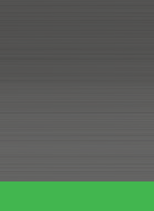 Flipper Slipper - Dos