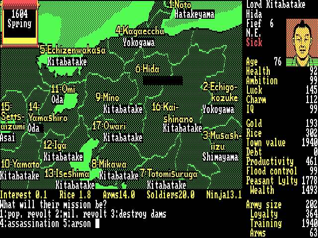 Image in-game
