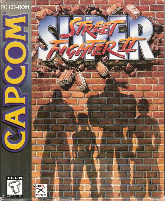 Super Street Fighter 2 The New Challengers