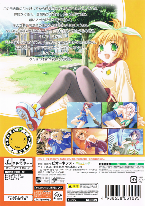 Orange Pocket - Cornet - Dos