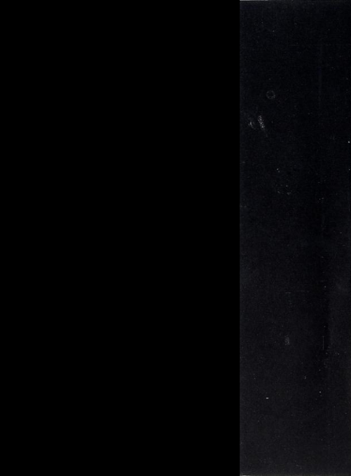 Hex (The Legend Of Vianna) - Dos