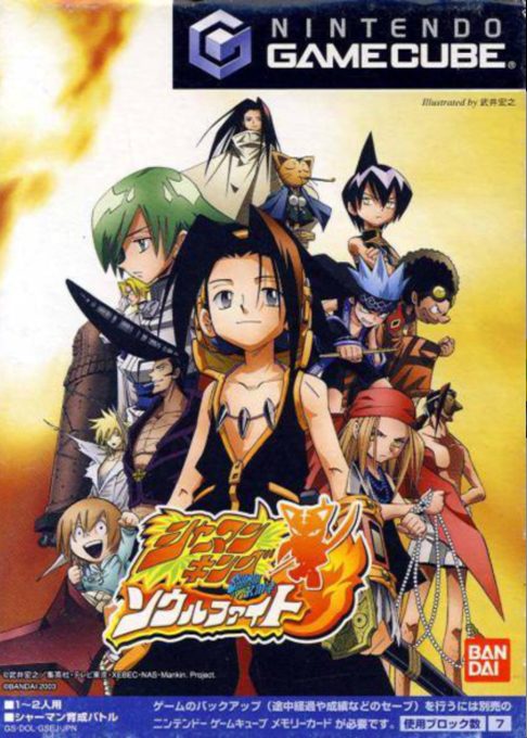 Shaman King - Soul Fight