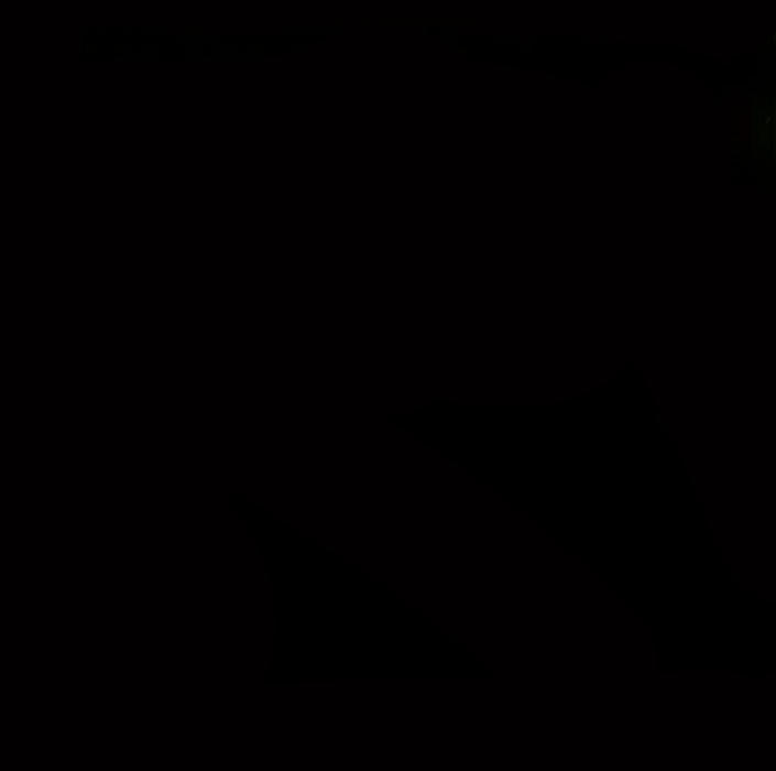 Flashback Legends dos