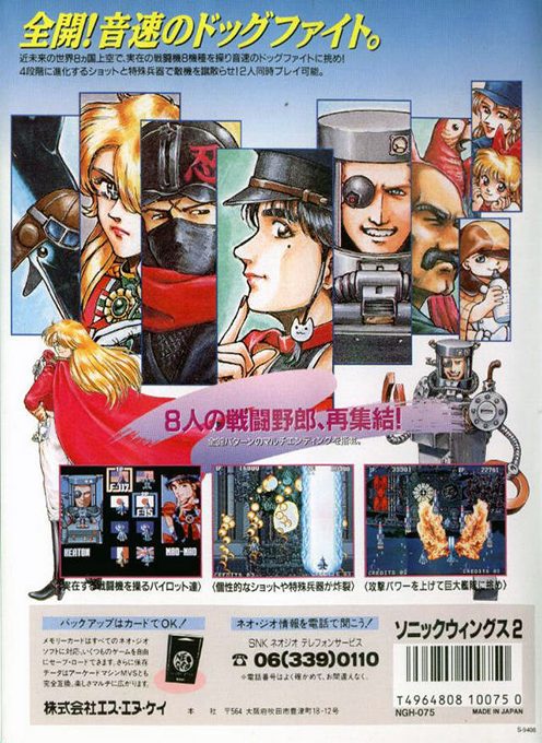 Aero Fighters 2 - Dos