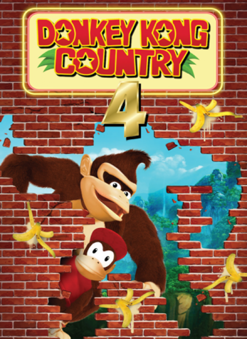 Donkey Kong Country