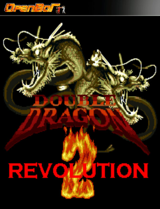 Double Dragon Revolution 2