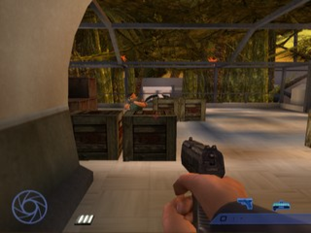 Image in-game