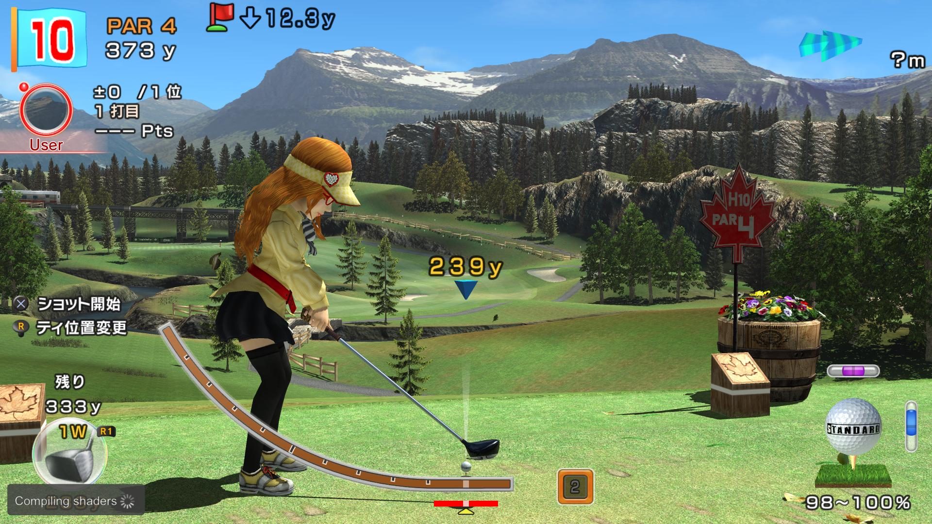 Image in-game