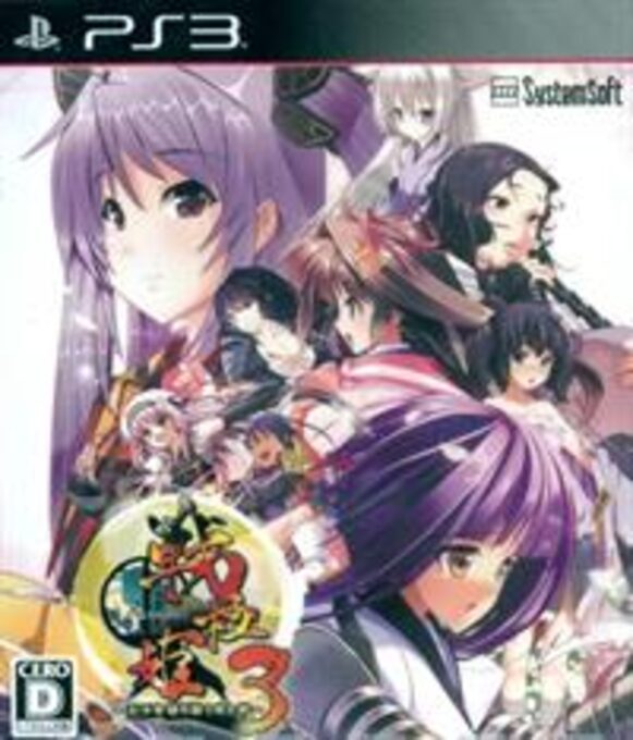 Sengoku-hime 3 - Tenka o Kirisaku Hikari to Kage