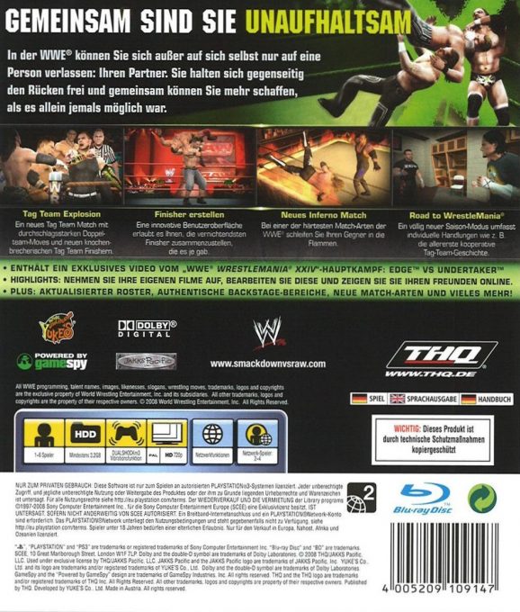 Wwe Smackdown Vs Raw 2009 dos