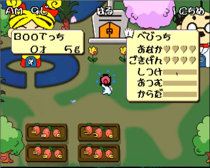 Image in-game