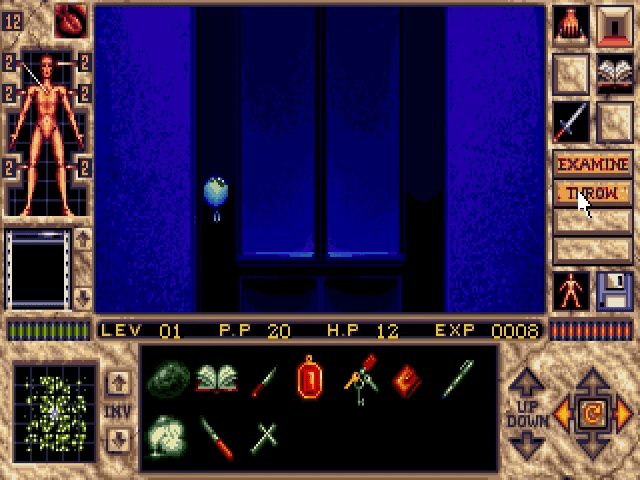 Image in-game