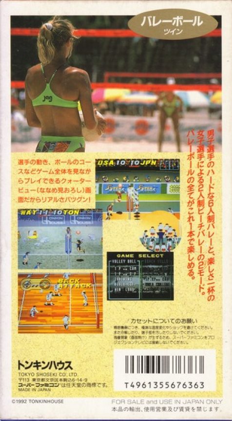 Dig & Spike Volleyball - Dos