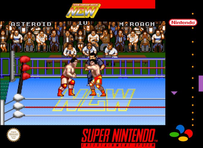 Natsume Championship Wrestling