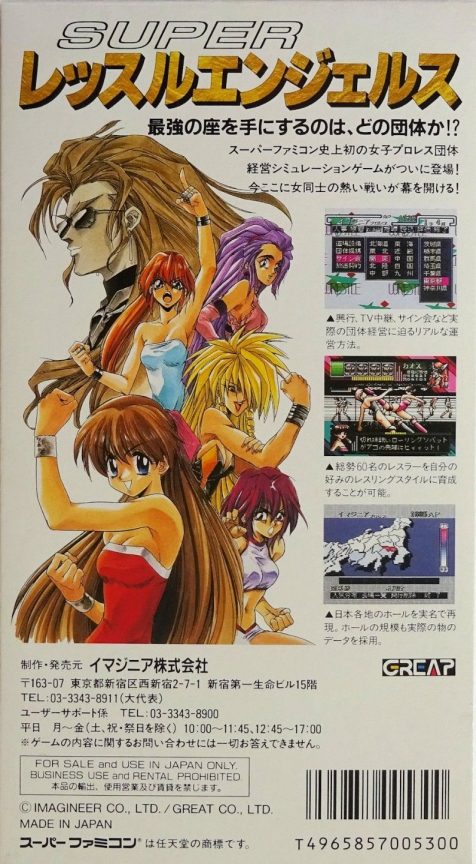Super Wrestle Angels dos
