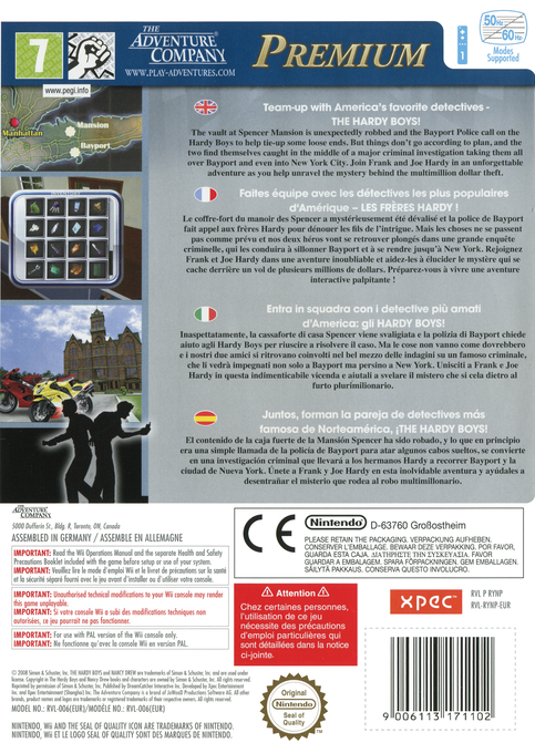 The Hardy Boys : The Hidden Theft - Dos