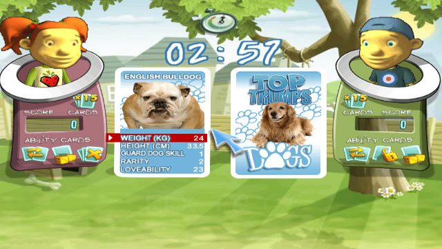 Image in-game